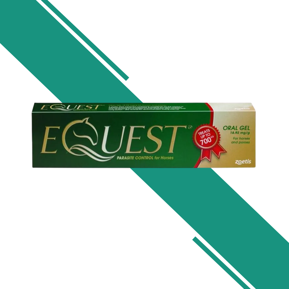 Equest Horse Wormer - Single Syringe